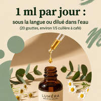 DRAINANT LYMPHATIQUE